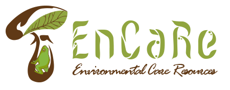 logo EnCaRe